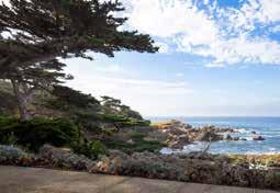 Carmel Realty