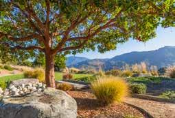 Ronda Rd Pebble Beach
