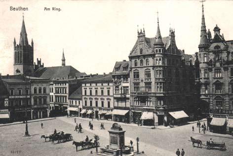 LEW ŚPIĄCY 13.