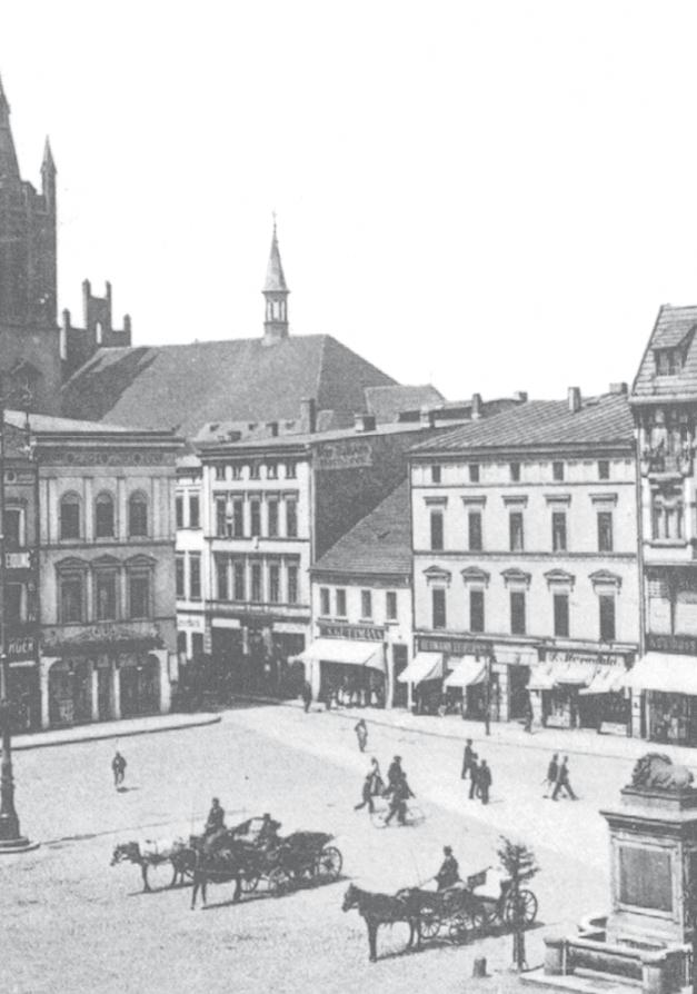 Krzysztof Jaszczyński WARSZAWSKIE LWY Warszawa pełna lwów W Mistrzowskiej roboty i naturalnej wielkości marmurowe lwy czekały w piwni- Warszawie aż roi się od lwów.