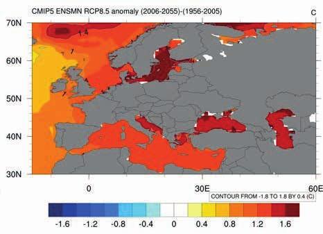 WIADOMOŒCI RYBACKIE Rys. 4. Przewidywane anomalie temperaturowe w latach 2006- -2055 w stosunku do minionych. (źródło: https://www.esrl.noaa. gov/psd/ipcc/ocn).