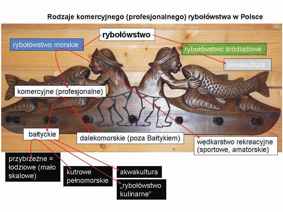 WIADOMOŒCI RYBACKIE budowanym w latach 1892-1893 (Łaszczyński 1960, Ropelewski 1963, Szarski 2007) i porcie morskim w Wolnym Mieście Gdańsk, 17. 08. 1931 r.