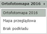 Rysunek 26 Wybór podkładu mapowego - rozwijalne menu 3.4.1.