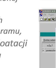 Knothego-Budryka System komputerowy Szkody