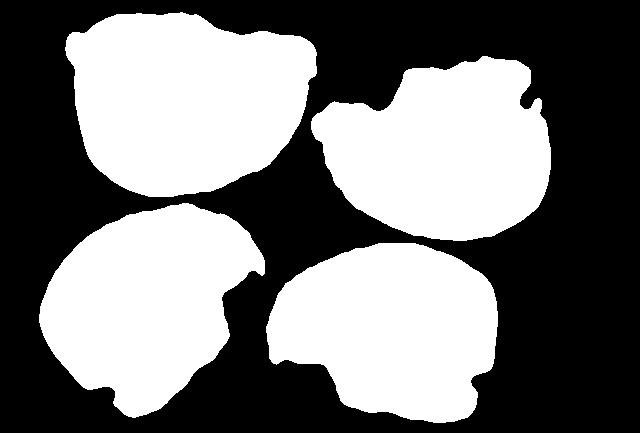 Segmentacja brazu Obraz ryginalny Histgram jasnści dwumdalny Obraz binarny