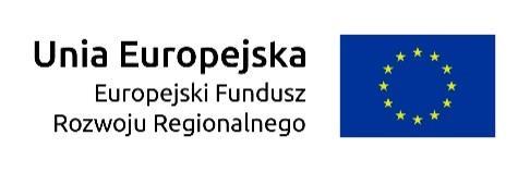 6: Inwestycje na rzecz rozwoju lokalnego w zakresie Europejskiego Funduszu Rozwoju Regionalnego Typ