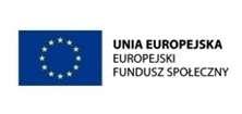 Program wzmocnienia efektywności PROGRAM WZMOCNIENIA EFEKTYWNOŚCI SYSTEMU NADZORU