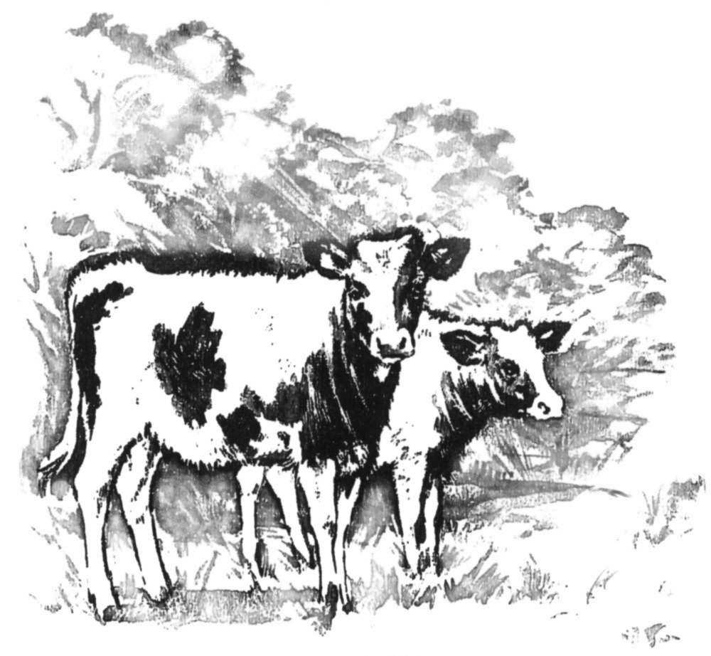 V. Řehout i in.