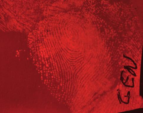 Ryc. 4. Ślad linii papilarnych ujawniony techniką sublimacji próżniowej genypiny widok w trybie fluorescencji (wzbudzanie 57