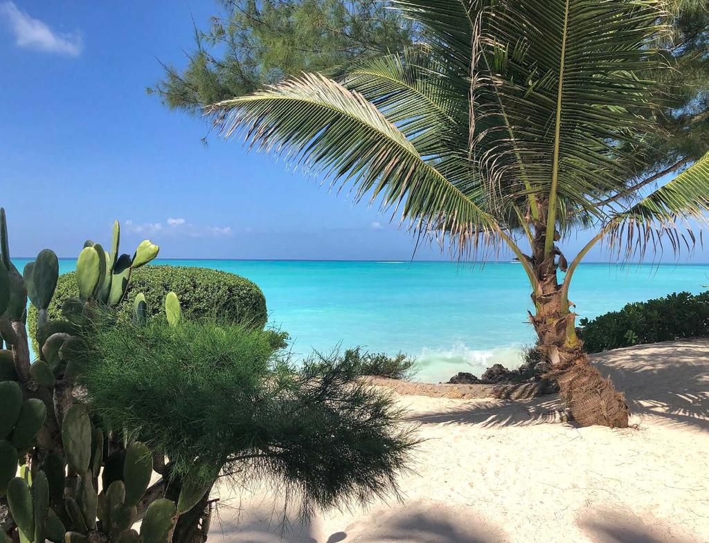 DZIEŃ 9 Ostatni dzień nad oceanem Rano ostatnia okazja na spacer po plaży i kąpiel w ciepłych wodach Oceanu Indyjskiego.