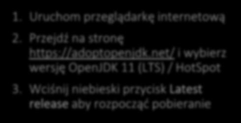 net/ i wybierz wersję OpenJDK 11 (LTS) / HotSpot