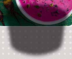 JOGURT PITNY