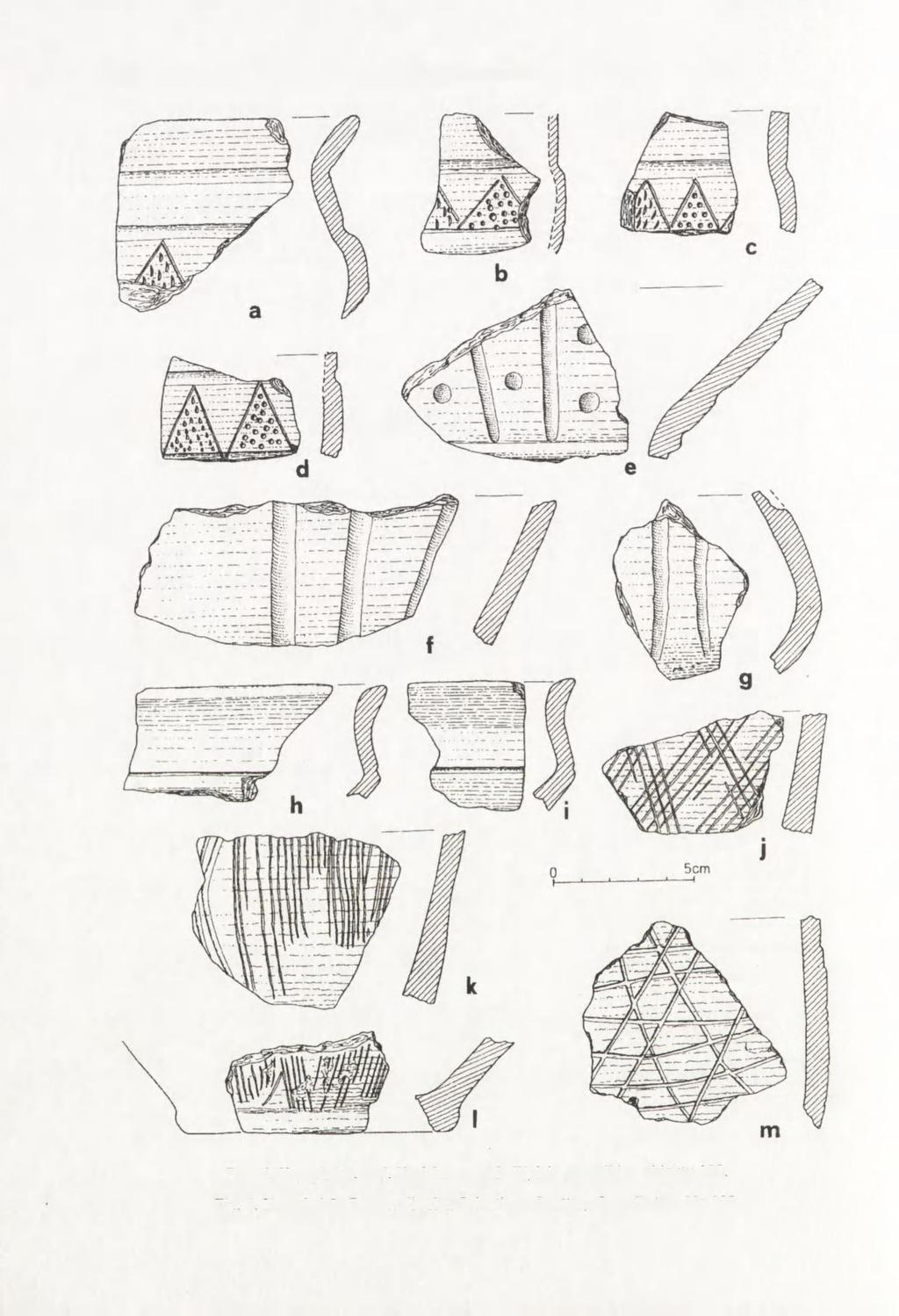 126 PIOTR KACZANOWSKI Ryc. 6.