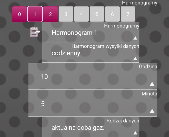 Po kliknięciu przycisku możliwe jest ustawienie lub wyświetlanie dodatkowych parametrów, m.in.