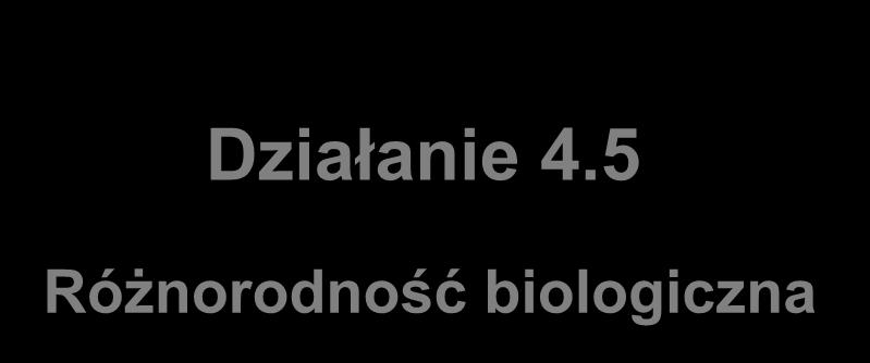 Działanie 4.