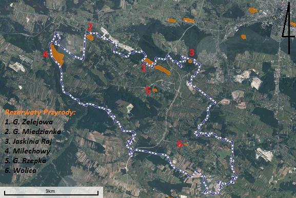 Rys. nr 5. Lokalizacja rezerwatów przyrody w Gminie Chęciny. Źródło: Opracowanie własne W Gminie Chęciny znajduje się również wiele pomników przyrody.