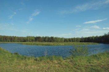 MA A RETENCJA W NADLEŒNICTWIE GARWOLIN Lucyna B³êdowska Fot. 1. Zbiornik (2,8 ha) w leœnictwie Malamówka (fot. L. B³êdowska). Fot. 1. Water reservoir (208 ha) in Malamówka range (208 ha) (photo.