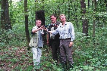 WIELOFUNKCYJNOŒÆ LASÓW JAKO SKUTECZNY MECHANIZM OCHRONY GATUNKOWEJ PTAKÓW SZPONIASTYCH W POLSCE Zdzis³aw Cenian Rys.1.