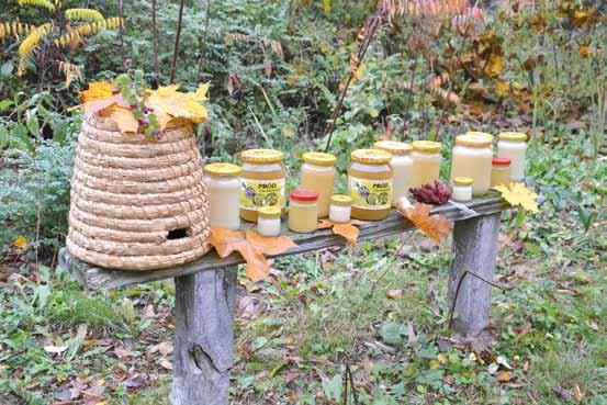 Zdjęcie 10. Ekspozycja produktów pszczelich Źródło: produkty z pasieki Wielkopolskiego Ośrodka Doradztwa Rolniczego w Poznaniu, fot.