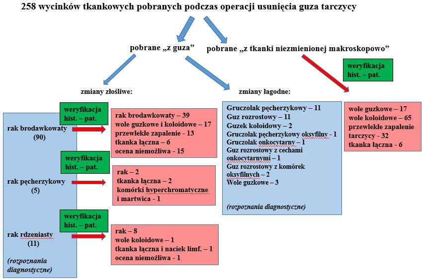 Rysunek 1. Wyniki weryfikacji histopatologicznej materiału tkankowego.