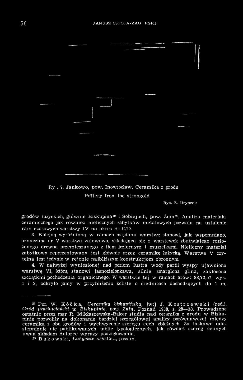 Kolejną wyróżnioną w ramach majdanu warstwę stanowi, jak wspomniano, oznaczona nr V warstwa zalewowa, składająca się z warstewek zbutwiałego rozłożonego drewna przemieszanego z iłem jeziernym i