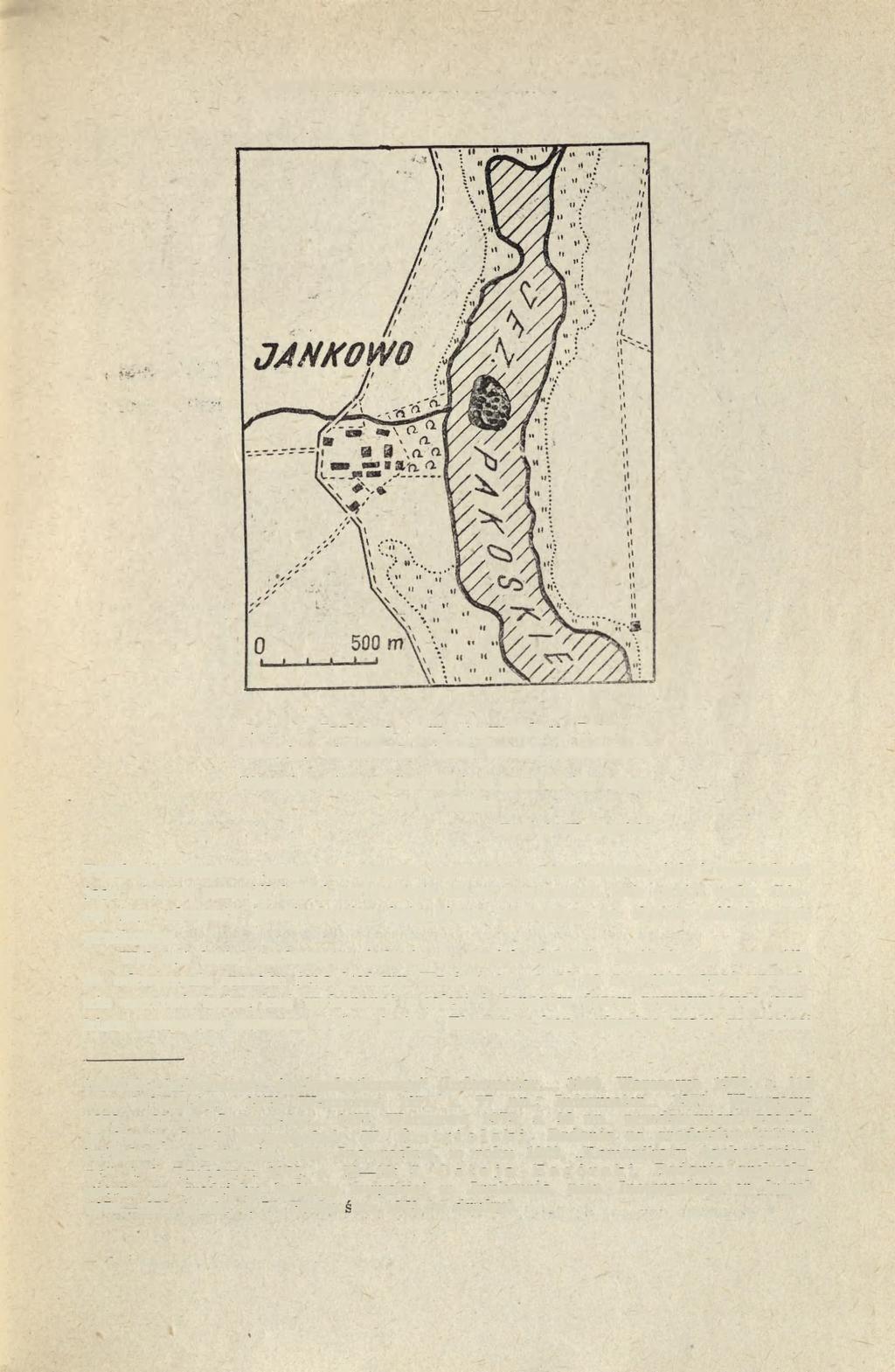 BADANIA WYKOPALISKOWE W JANKOWIE 47 Ryc. 1. Jankowo, pow. Inowrocław. Plan sytuacyjny stanowiska (teren wyspy zaczerniono) Situation plan of the site (the area of the island is in black) Rys. A.