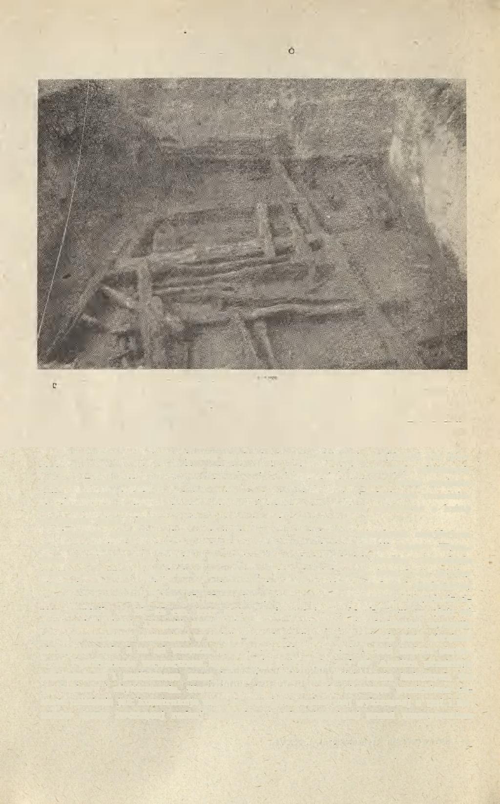 50 JANUSZ OSTOJA-ZAGÓRSKI Ryc. 4. Jankowo, pow. Inowrocław. Fragment bramy grodu w partii wystającej przed wał obronny Fragment of the gate in the part projecting beyond the rampart Fot. J. Heller Przed wałem od strony jeziora na obu badanych odcinkach znajdował się falochron zbudowany z 4 6 rzędów pali dębowych, jesionowych i sosnowych wbijanych ukośnie.