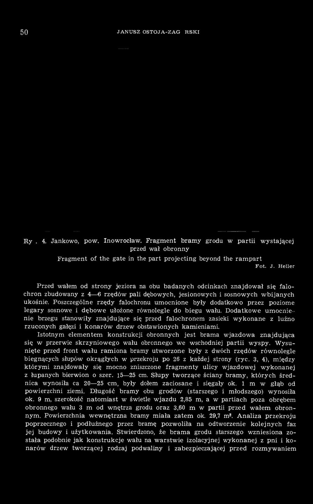 Dodatkowe umocnienie brzegu stanowiły znajdujące się przed falochronem zasieki wykonane z luźno rzuconych gałęzi i konarów drzew obstawionych kamieniami.