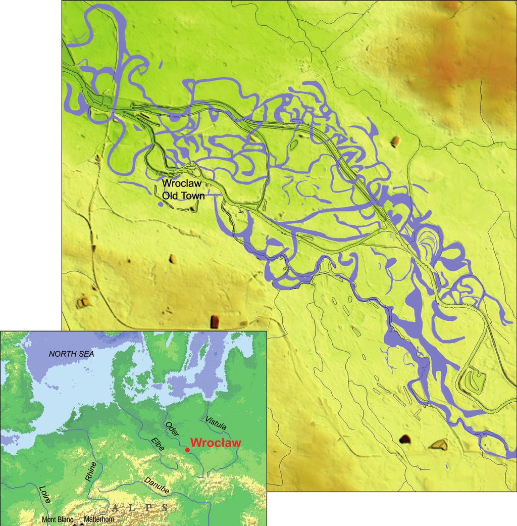 szym (ryc. 1).
