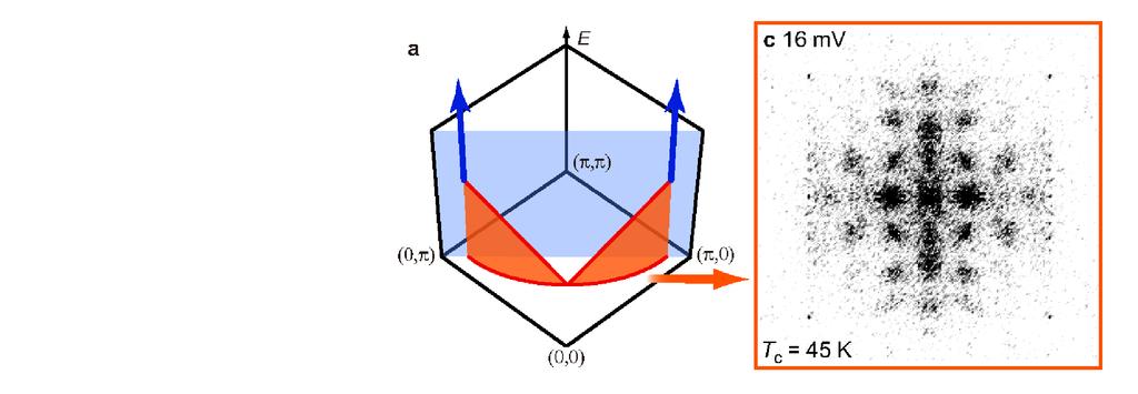 Dychotomia: we drowność lokalizacja par Y. Kohsaka et al, Nature 454, 1072 (2008).