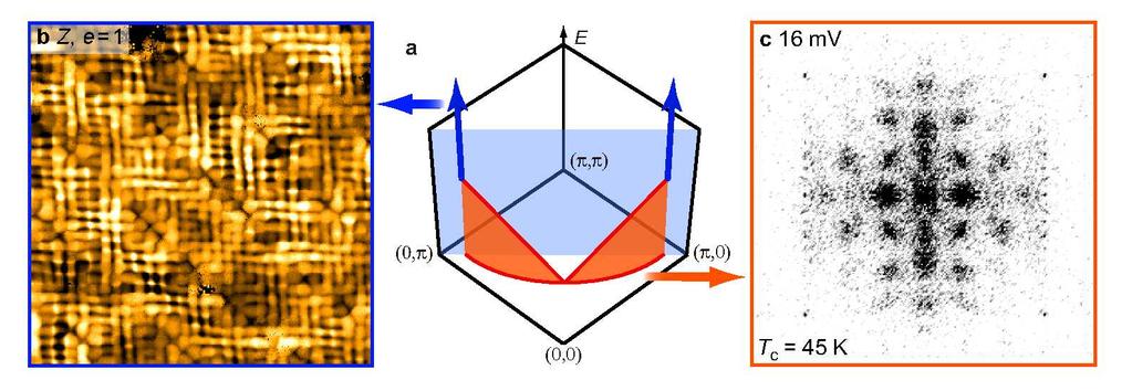 Dychotomia: we drowność lokalizacja par Y. Kohsaka et al, Nature 454, 1072 (2008).