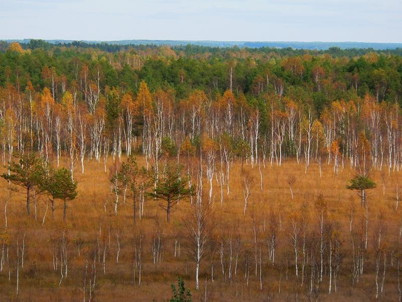 Cel ogólnyprojektu: Przywrócić i utrzymać mozaikę przestrzenną ekosystemów naturalnych i półnaturalnych, warunkujących wysoką różnorodność biologiczną w krajobrazie