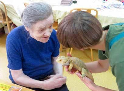 Zwierzaki prawdziwymi przyjaciółmi seniorów zooterapia w domu pomocy społecznej Autor innowacji: Stowarzyszenie Centrum Rozwoju Edukacji Obywatelskiej CREO W innowacji wypracowano model obecności