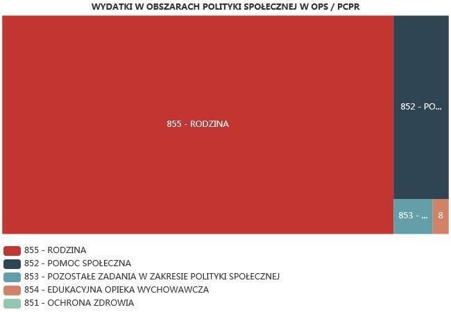 ŚRODKI FINANSOWE NA WYDATKI W POMOCY SPOŁECZNEJ I INNYCH OBSZARACH POLITYKI SPOŁECZNEJ W BUDŻECIE JEDNOSTKI SAMORZĄDU TERYTORIALNEGO (zadania własne i zadania zlecone) W złotych WYSZCZEGÓLNIENIE 217