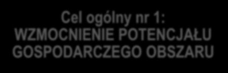 Cel ogólny nr 1: WZMOCNIENIE POTENCJAŁU GOSPODARCZEGO OBSZARU Cel szczegółowy 1.