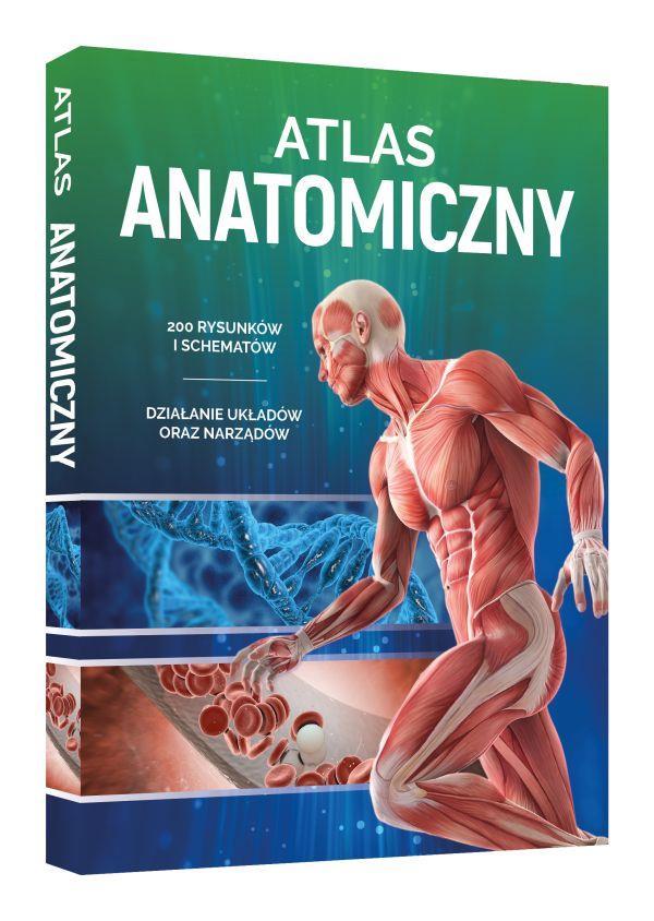ATLAS ANATOMICZNY Atlas anatomiczny jest skierowany do wszystkich osób zainteresowanych tym, jak działa ludzkie ciało.