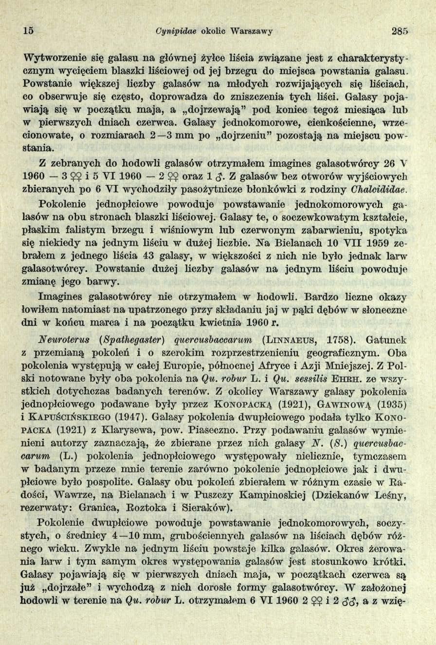 15 Gynipidae okolic Warszawy 285 Wytworzenie się galasu na głównej żyłce liścia związane jest z charakterystycznym wycięciem blaszki liściowej od jej brzegu do miejsca powstania galasu.