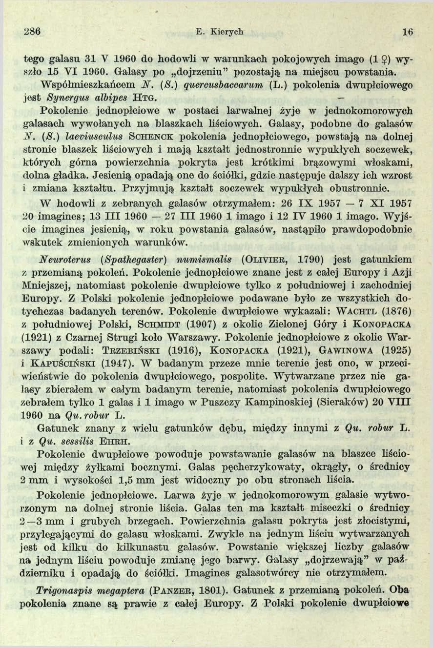 286 E. Kierycli 16 tego galasu 31 V 1960 do hodowli w warunkach pokojowych imago (1 $) wyszło 15 VI 1960. Galasy po dojrzeniu pozostają na miejscu powstania. Współmieszkańcem W. (8.