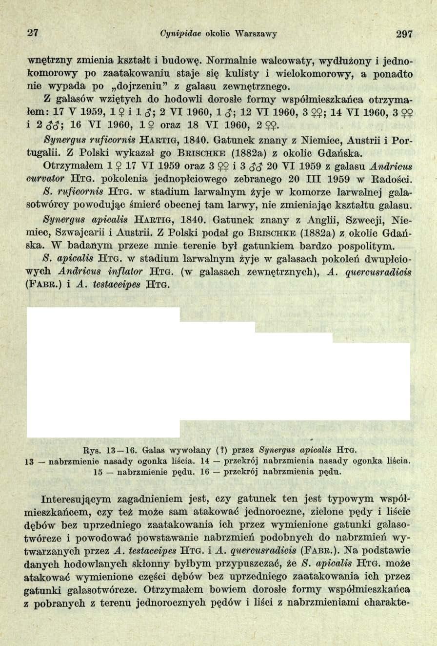 27 Gynipidae okolic Warszawy 297 wnętrzny zmienia kształt i budowę.