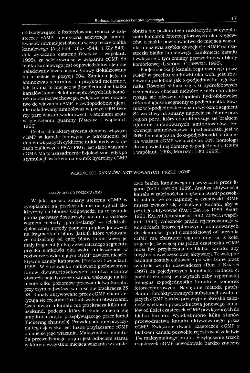 1995), za selektywność w wiązaniu cgmp do białka kanałowego jest odpowiedzialny ujemnie naładowany kwas asparaginowy zlokalizowany na a-helisie w pozycji 604.