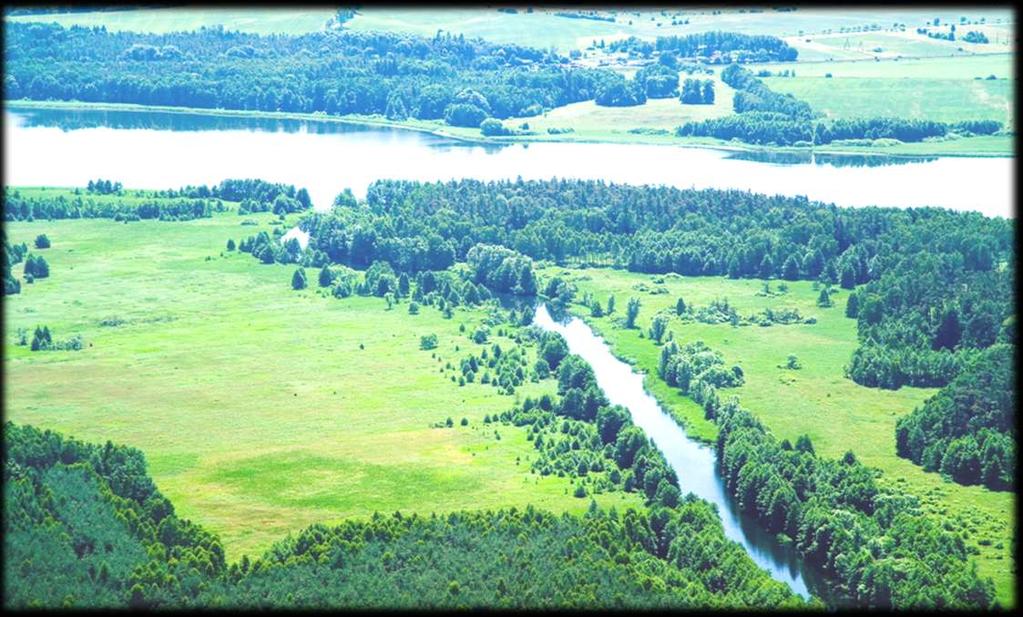 Zakład