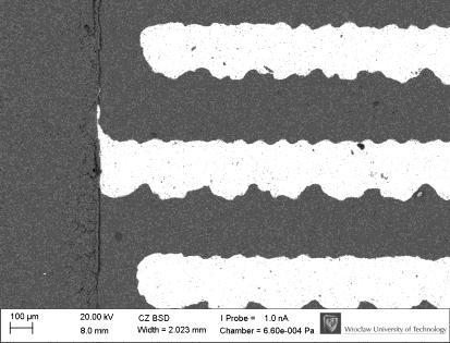 a) b) c) Rysunek 15. Obrazy SEM biofilmu P. aeruginosa na powierzchni czujnika LTCC: a) czysta referencja, b) po 16 godzinach inkubacji, c) biofilm P.
