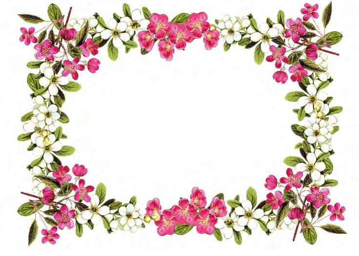 Reptiles On the North River opposite the Dog Park 841 Main Street Tewksbury, MA 01876 (978) 851-9103 Rosaries from Flowers Handmade from the Flowers of your Loved One www.