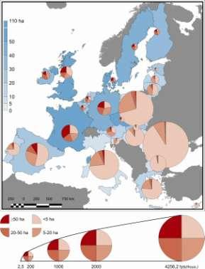 Polska na tle UE Udział i miejsce Polski w produkcji niektórych artykułów rolnych, 2006 Udział PL Świat Miejsce Polski Unia Europejska