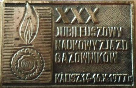 monitorowanie współpracy naszego stowarzyszenia w Międzynarodowej Unii Gazownictwa (IGU), do której należymy od 1932 roku.