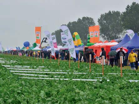 PO STRONIE PLANTATORA Poland Sp. z o.o., Makhteshim Agan Poland Sp. z o.o. zaprezentują swoje najlepsze, a zarazem najskuteczniejsze programy zwalczające zachwaszczenie na plantacjach buraka.