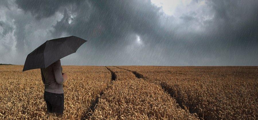 https://www. Pogoda rujnuje rolników! Najpierw susza, teraz deszcz Nadszedł trudny czas dla rolników. Po suszy nastały intensywne deszcze. Choć zaczęły się żniwa, trudno wjechać kombajnami na pola.