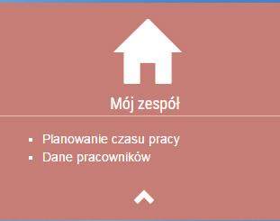 KCP PRACOWNIKA Ten raport pozwala na generowanie Kart Ewidencji Czasu Pracy wybranych Pracowników. Jeśli wybierzesz kilku Pracowników, dla każdego zostanie wygenerowany osobny dokument.