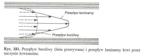 KRĄś ĄśENIEN DUśE Przepływ krwi 5,4 L/min dopływa do zbiornika tętniczego i tyle samo odpływa do sieci naczyń włosowatych.