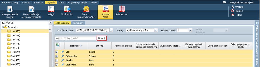 Widok Dane do sprawozdania SIO umożliwia przygotowanie raportu z danymi wymaganymi w SIO.